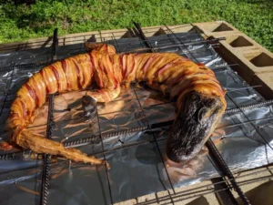 sisi-lain-kuliner-as-dari-kaki-babi-hingga-buaya