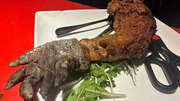sisi-lain-kuliner-as-dari-kaki-babi-hingga-buaya